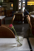 <b>BRL1053</b><br>Europe; Allemagne; Berlin; Bar; Hostel; Girl; Speak; Glass; Flower; Rose; Table; Relax; Lonely