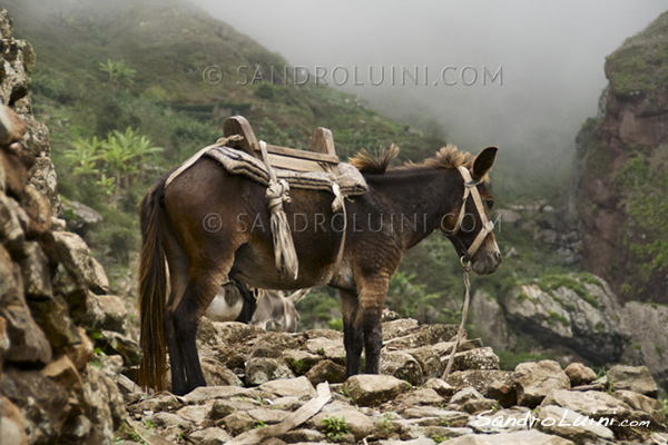 Cabo Verde, 