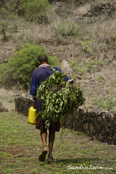 Cabo Verde, 