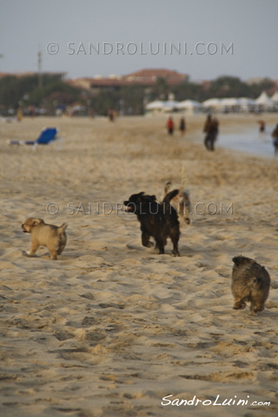 Cape Verde, 