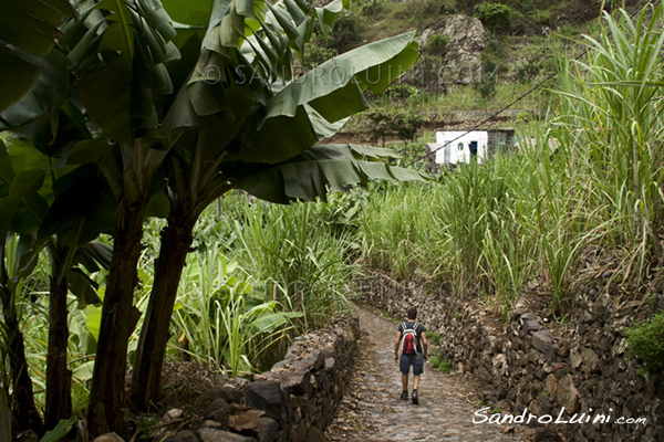 Cape Verde, 