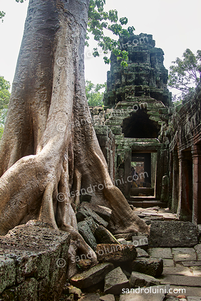 Camboya, 