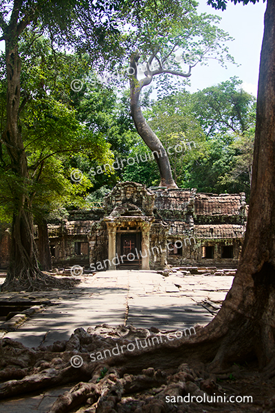 Cambodia, 