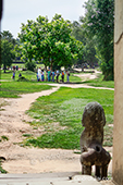 <b>CMB1004</b><br>Cambodia; Angkor; Angkor Wat 