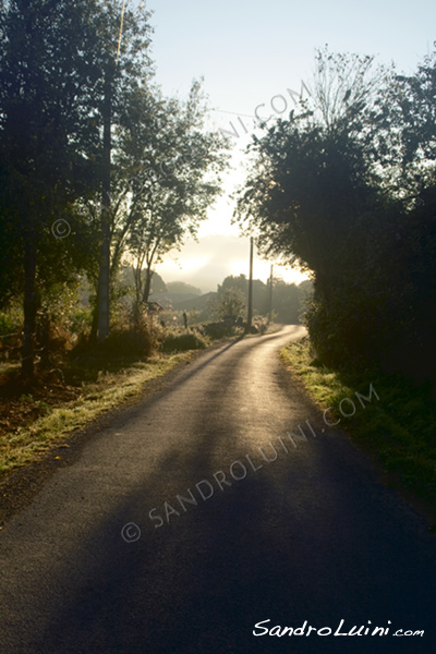 Cammino di Santiago, 