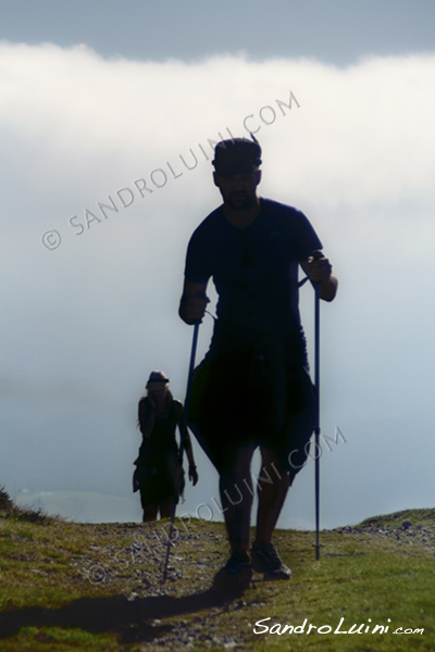 Camino de Santiago,
