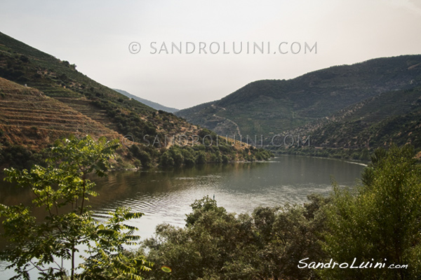 Douro, Historic Train