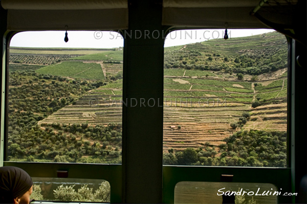 Douro, Tren historico