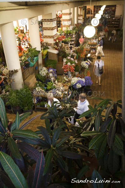 Funchal,