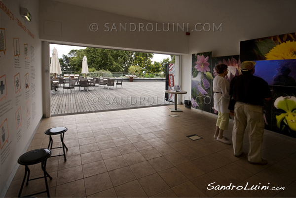Funchal,