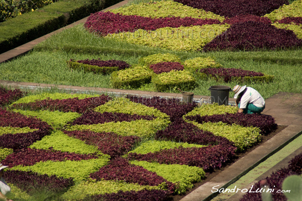 Funchal,