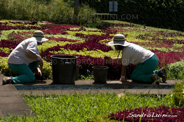 Funchal,