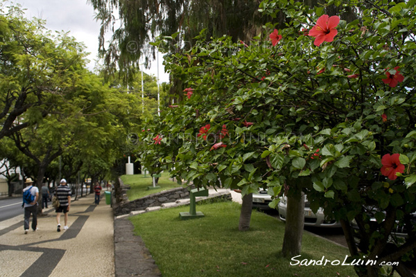Funchal,