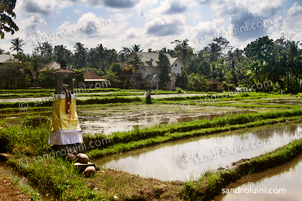 Indonesia, 