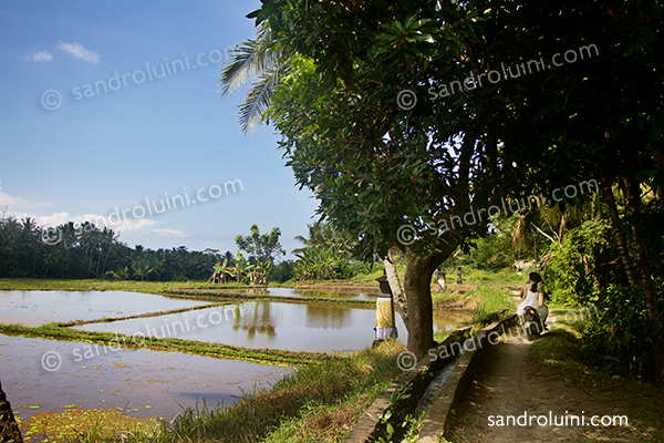 Indonesia, 