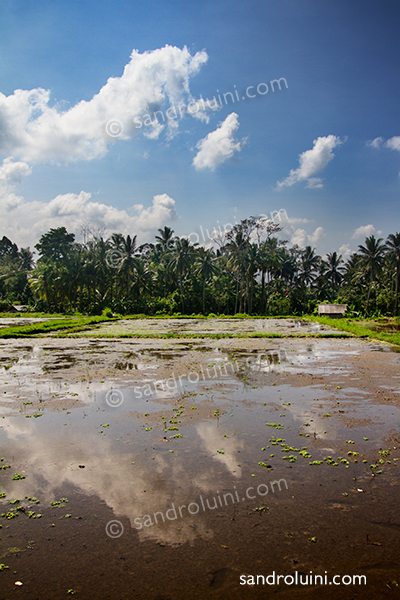 Indonesia, 