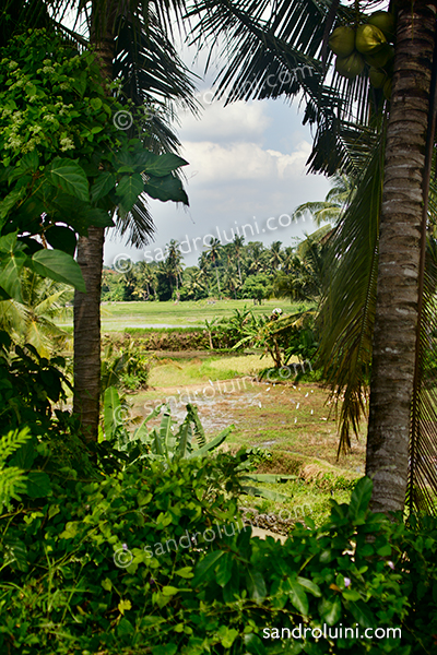 Indonesia,
