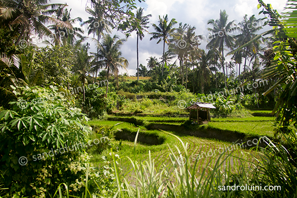 Indonesia, 