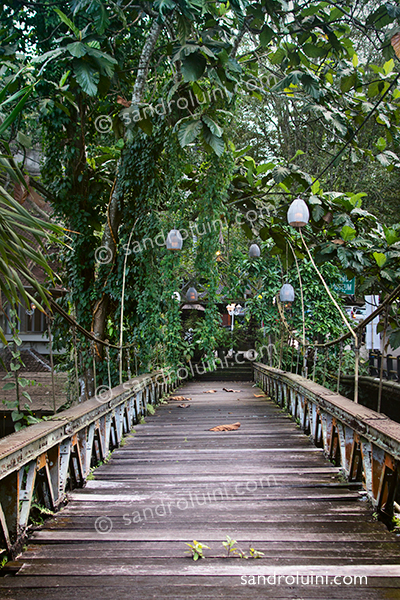Indonesia,
