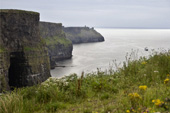 <b>IRL1003</b><br>Ireland, Cliffs of Moher, Cliff, Clare, Countryside, Rural area, Rural, Atlantic, Ocean, Panorama, Flowers