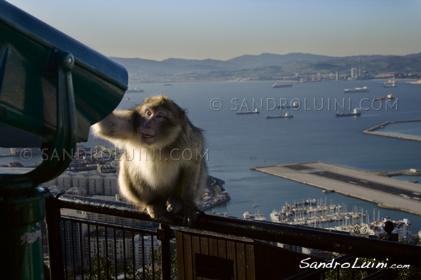 Melilla Ceuta Gibraltar, Pillars of Hercules