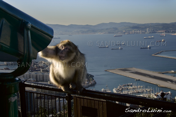 Melilla Ceuta Gibraltar, Colonnes Hercule