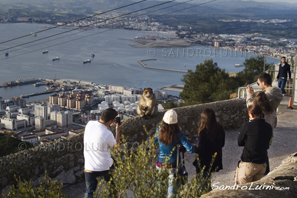 Melilla Ceuta Gibilterra, Colonne Ercole