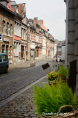 <b>MNS1028</b><br>Europa, Bélgica, Valona, Mons, Capital Europea de la Cultura 2015, Old Town, Street, Plants, Person, Walk, Walking
