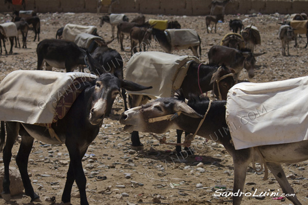 Marocco, 