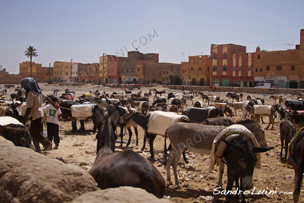 Marruecos, 