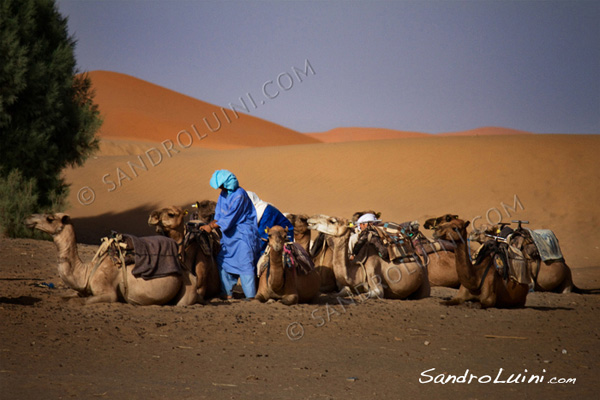 Marruecos,