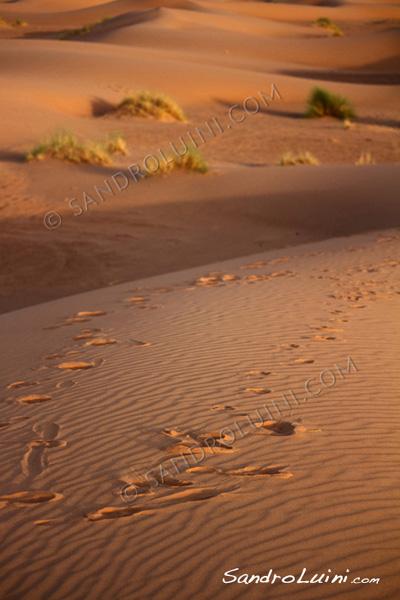 Marruecos,