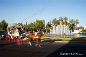 <b>MRC1033</b><br>Africa, Marocco, Arabo, Berber, Ville Nouvelle, Fez, Garder, Trees, Place, Square, Horse, Carriage, Boulevard Hassan II, Fes