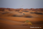 <b>MRC1069</b><br>Afrique, Maroc, Arabe, Berber, Desert, Dune, Erg Chebbi, Merzouga, Sahara