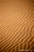 <b>MRC1071</b><br>Afrique, Maroc, Arabe, Berber, Desert, Dune, Erg Chebbi, Merzouga, Sahara