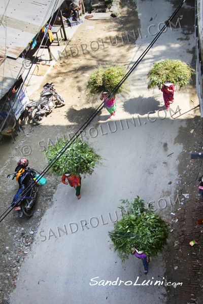 Nepal,