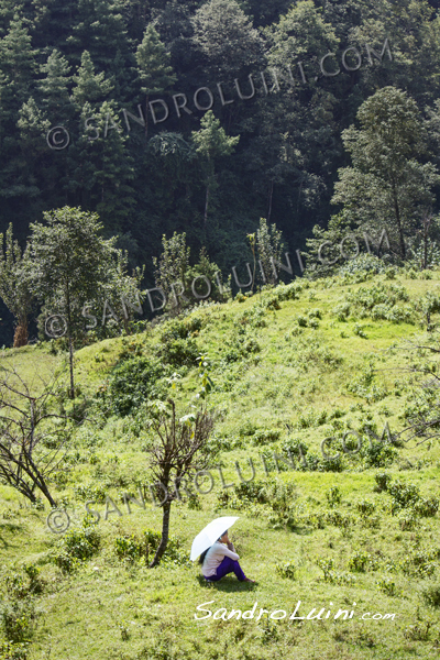 Nepal, 