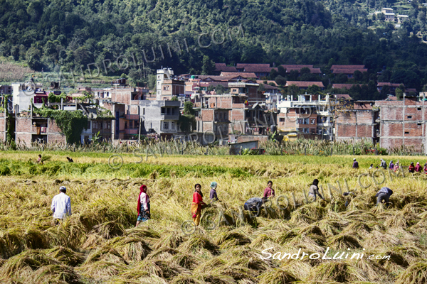 Nepal, 