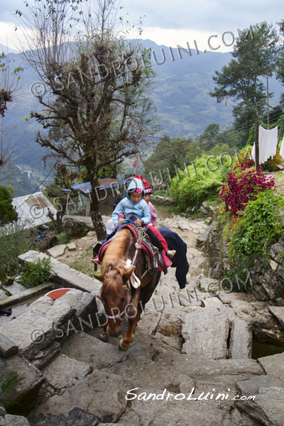 Nepal,