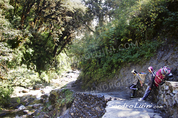 Nepal,