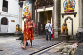 <b>NPL1054</b><br>Nepal; Kathmandu; Pashupatinath; Temple; Hinduism; People; Monk; Devotee; Building; Entrance; Animal; Man; People