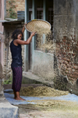 <b>NPL1126</b><br>Nepal; Kathmandu Valley; Panauti; Village; Girl; Work; Rice; Cleaning; Street; Woman; People