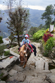 <b>NPL1205</b><br>Nepal; Himalaya; Annapurna; Trekking; Hike; Kids; Annapurna Circuit; Village; Stairs; Horse; Transport; Path