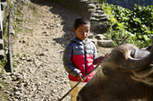 <b>NPL1207</b><br>Nepal; Himalaya; Annapurna; Trekking; Hike; People; Annapurna Circuit; Village; Kid; Path