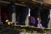 <b>NPL1232</b><br>Nepal; Tanahun; Bandipur; House; Street; Building; Village; People; Kid; Walk; Play; Game; Dog