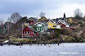 <b>OSL1009</b><br>Norvège, Oslo, Winter, Sea, Archipelago, house, coloured houses, lifestyle, wood, land, Landscape, tipycal, rural, nature