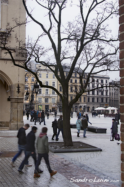 Pologne,