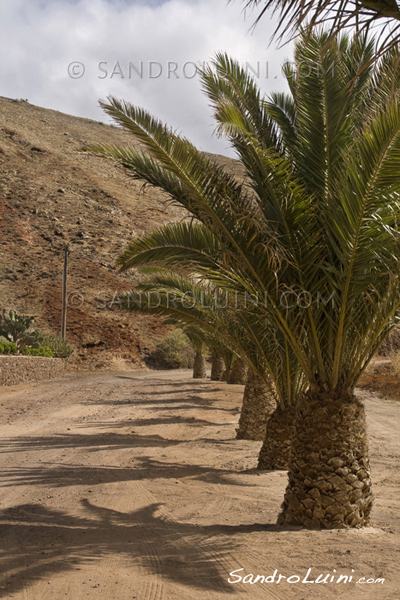 Porto Santo,