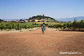 <b>SPN1001</b><br>España, Rioja, Laguardia, Girl, Walk, Land, Sun, Calatrava, Wine, Winery, Vineyard, Relax