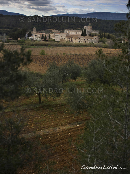 La ruta del Cister, 